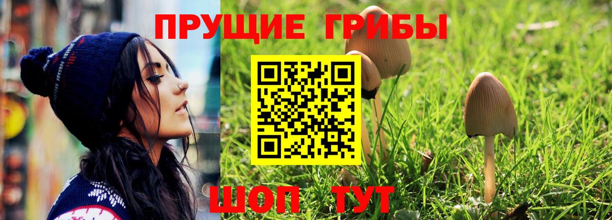 Щёлково  Галлюциногенные грибы прущие грибы  Вход с VPN 