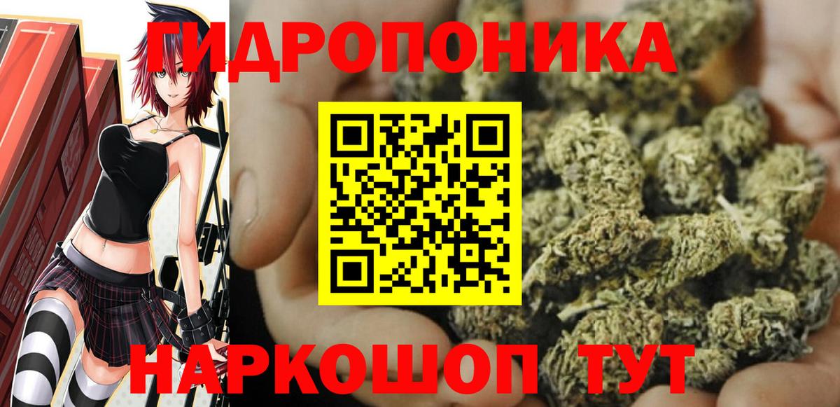 Конопля White Widow  Шишки марихуана семена  Вход с VPN  Шишки марихуана THC 21%  Щёлково 